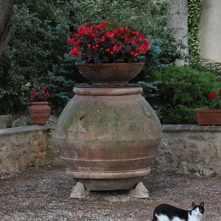 B&B Del Cardinale 3*