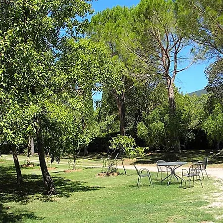 Del Cardinale