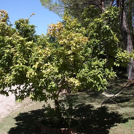 Del Cardinale Bed & Breakfast 3*