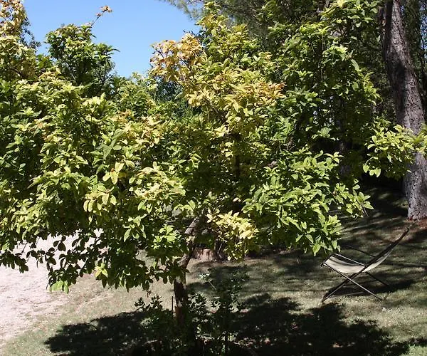 Del Cardinale Couette-café 3*